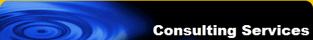 Consulting Services