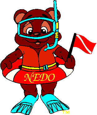 NEDO USA Logo